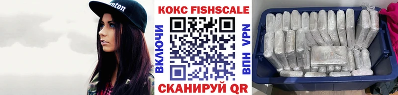 Купить закладки  Волоколамск  COCAIN Fish Scale 