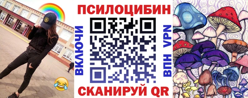 Галлюциногенные грибы Psilocybe  Купить закладки  Волоколамск 