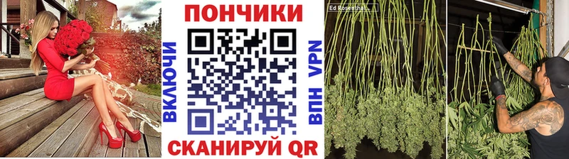 Бошки Шишки Amnesia  Купить  Волоколамск 